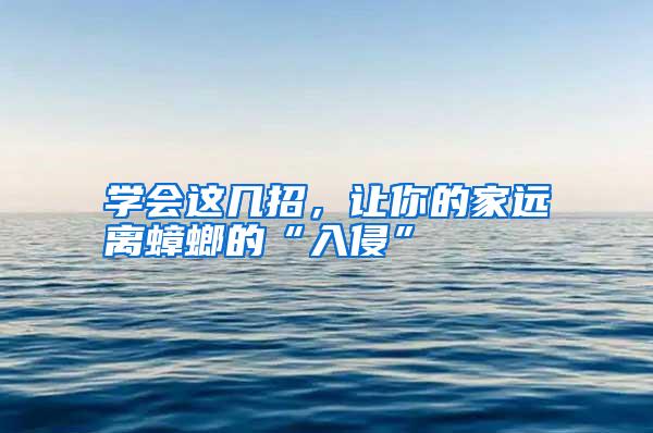 学会这几招,让你的家远离蟑螂的“入侵”