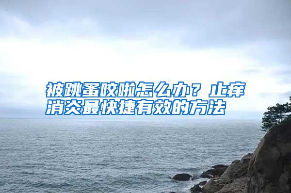 被跳蚤咬啦怎么办?止痒消炎最快捷有效的方法