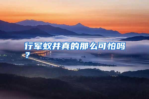 行军蚁并真的那么可怕吗？