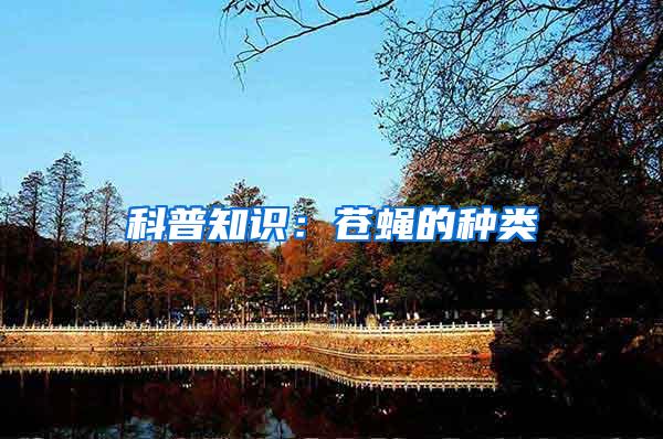 科普知识:苍蝇的种类