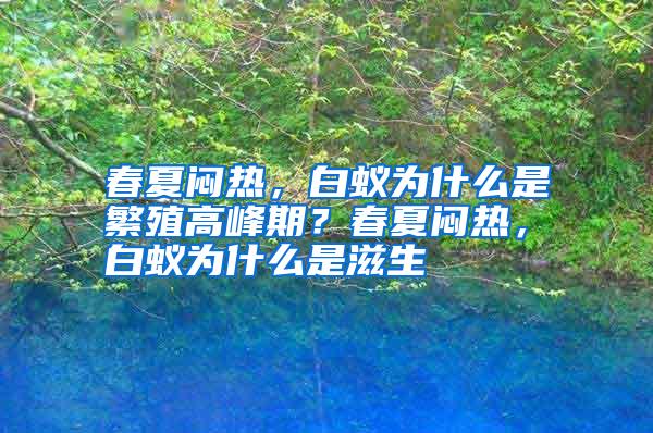 春夏闷热,白蚁为什么是繁殖高峰期?春夏闷热,白蚁为什么是滋生