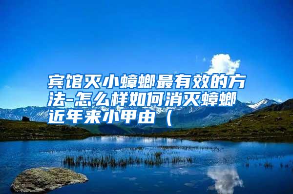 宾馆灭小蟑螂最有效的方法-怎么样如何消灭蟑螂 近年来小甲由(