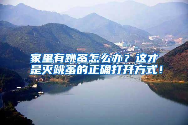 家里有跳蚤怎么办?这才是灭跳蚤的正确打开方式!