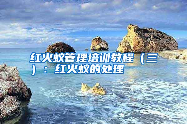 红火蚁管理培训教程(三):红火蚁的处理