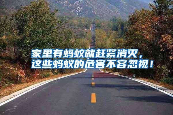 家里有蚂蚁就赶紧消灭,这些蚂蚁的危害不容忽视!