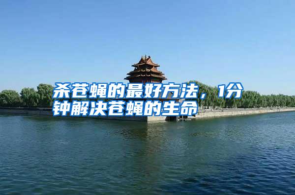 杀苍蝇的最好方法,1分钟解决苍蝇的生命