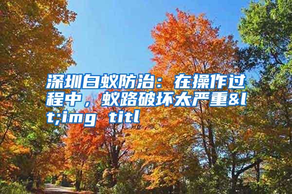 深圳白蚁防治:在操作过程中,蚁路破坏太严重<img titl