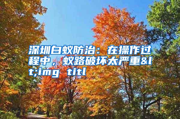 深圳白蚁防治：在操作过程中，蚁路破坏太严重<img titl