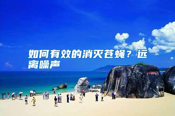 如何有效的消灭苍蝇?远离噪声