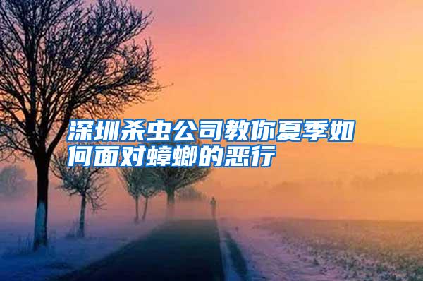 深圳杀虫公司教你夏季如何面对蟑螂的恶行