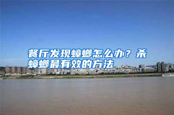 餐厅发现蟑螂怎么办?杀蟑螂最有效的方法