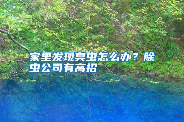 家里发现臭虫怎么办？除虫公司有高招