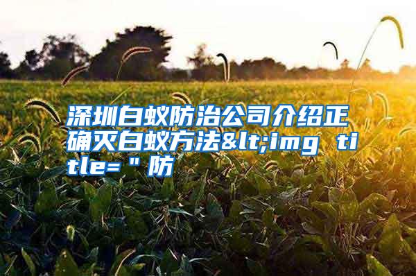 深圳白蚁防治公司介绍正确灭白蚁方法<img title="防