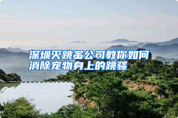 深圳灭跳蚤公司教你如何消除宠物身上的跳骚