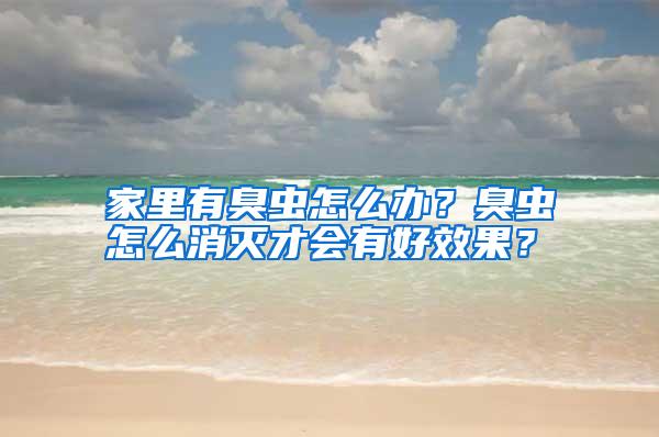 家里有臭虫怎么办?臭虫怎么消灭才会有好效果?