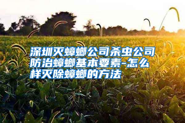 深圳灭蟑螂公司杀虫公司防治蟑螂基本要素-怎么样灭除蟑螂的方法