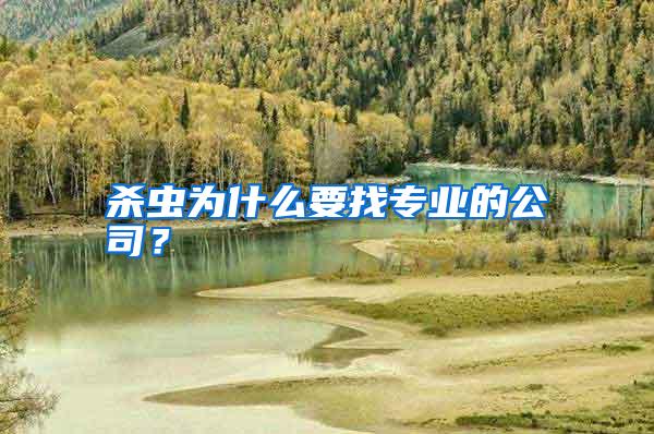 杀虫为什么要找专业的公司?