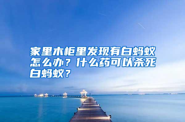 家里木柜里发现有白蚂蚁怎么办?什么药可以杀死白蚂蚁?