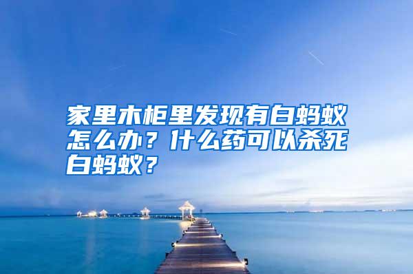 家里木柜里发现有白蚂蚁怎么办？什么药可以杀死白蚂蚁？