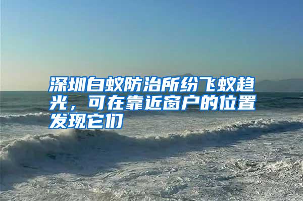 深圳白蚁防治所纷飞蚁趋光,可在靠近窗户的位置发现它们