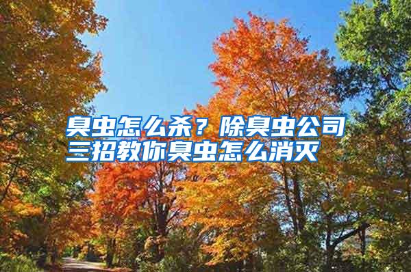 臭虫怎么杀?除臭虫公司三招教你臭虫怎么消灭