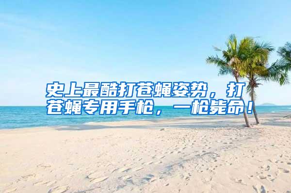 史上最酷打苍蝇姿势,打苍蝇专用手枪,一枪毙命!