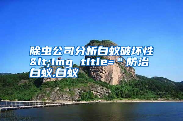 除虫公司分析白蚁破坏性<img title="防治白蚁,白蚁