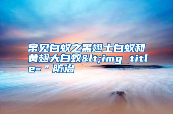 常见白蚁之黑翅土白蚁和黄翅大白蚁<img title="防治