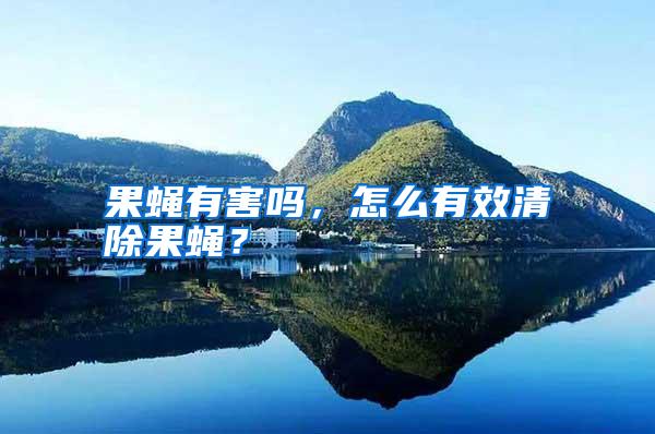 果蝇有害吗,怎么有效清除果蝇?
