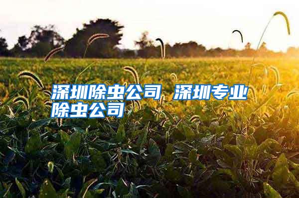 深圳除虫公司 深圳专业除虫公司