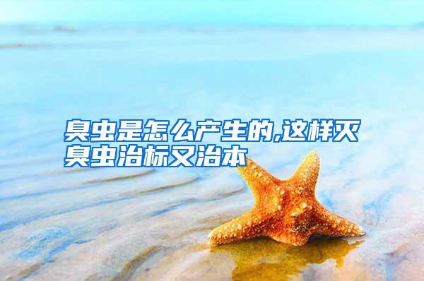 臭虫是怎么产生的,这样灭臭虫治标又治本