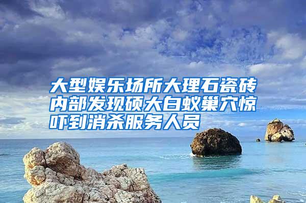 大型娱乐场所大理石瓷砖内部发现硕大白蚁巢穴惊吓到消杀服务人员