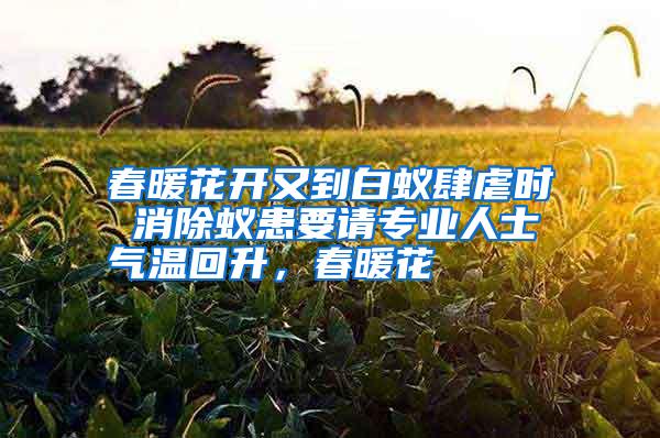 春暖花开又到白蚁肆虐时 消除蚁患要请专业人士气温回升,春暖花