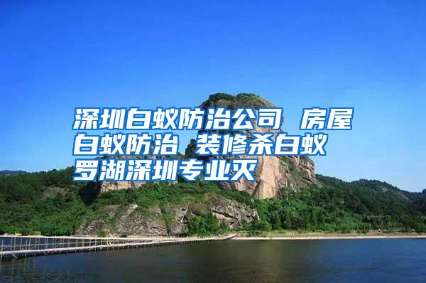 深圳白蚁防治公司 房屋白蚁防治 装修杀白蚁  罗湖深圳专业灭