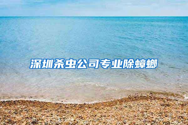 深圳杀虫公司专业除蟑螂