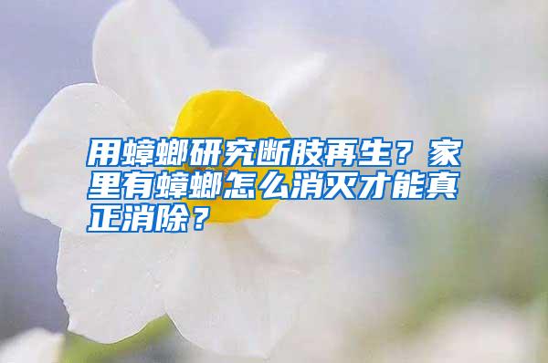 用蟑螂研究断肢再生?家里有蟑螂怎么消灭才能真正消除?