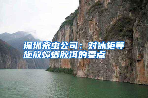 深圳杀虫公司:对冰柜等施放蟑螂胶饵的要点