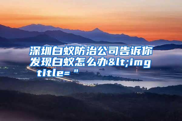 深圳白蚁防治公司告诉你发现白蚁怎么办<img title=＂