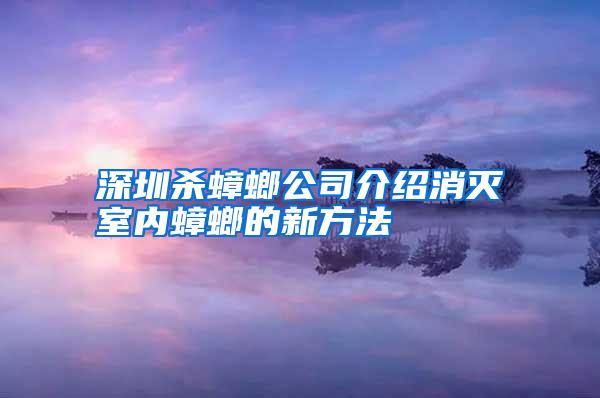 深圳杀蟑螂公司介绍消灭室内蟑螂的新方法