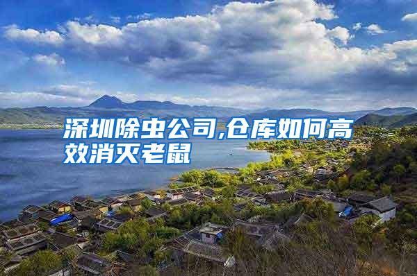 深圳除虫公司,仓库如何高效消灭老鼠