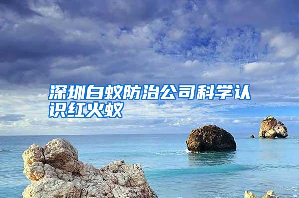 深圳白蚁防治公司科学认识红火蚁