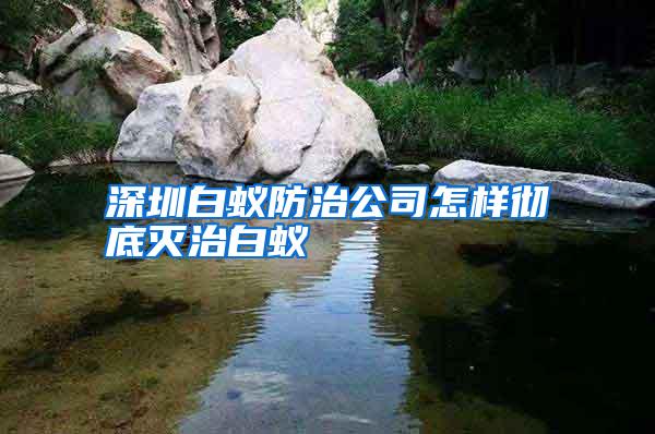 深圳白蚁防治公司怎样彻底灭治白蚁