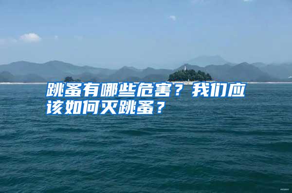 跳蚤有哪些危害？我们应该如何灭跳蚤？