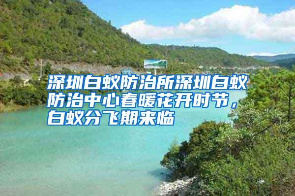 深圳白蚁防治所深圳白蚁防治中心春暖花开时节,白蚁分飞期来临