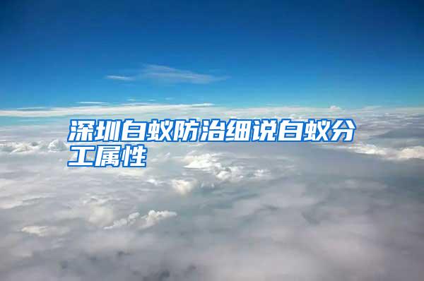 深圳白蚁防治细说白蚁分工属性