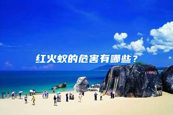红火蚁的危害有哪些?