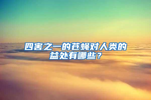 四害之一的苍蝇对人类的益处有哪些？