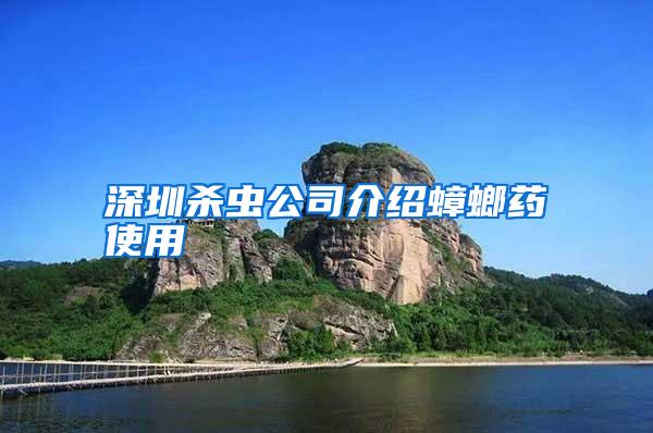 深圳杀虫公司介绍蟑螂药使用