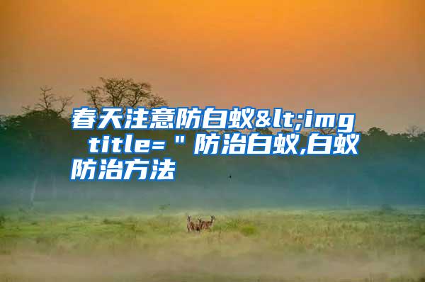 春天注意防白蚁<img title=＂防治白蚁,白蚁防治方法