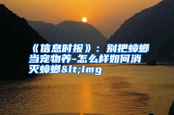 《信息时报》:别把蟑螂当宠物养-怎么样如何消灭蟑螂<img